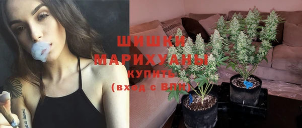 стаф Мегион